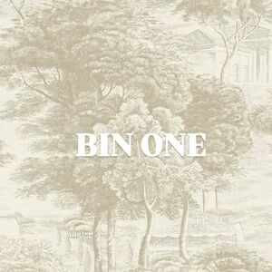 BIN ONE